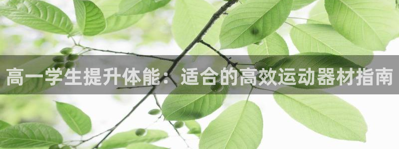 意昂3娱乐网站：高一学生提升体能：适合的高效运动器材