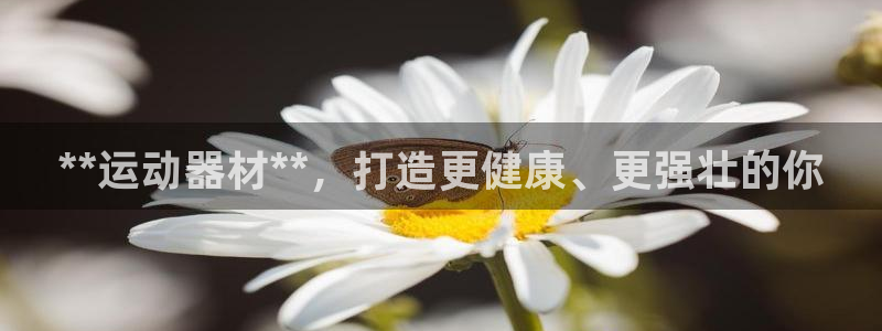 意昂体育3招商：**运动器材**，打造更健康、更强壮
