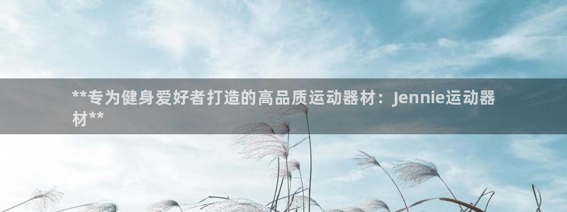 意昂3五金厂：**专为健身爱好者打造的高品质运动器材