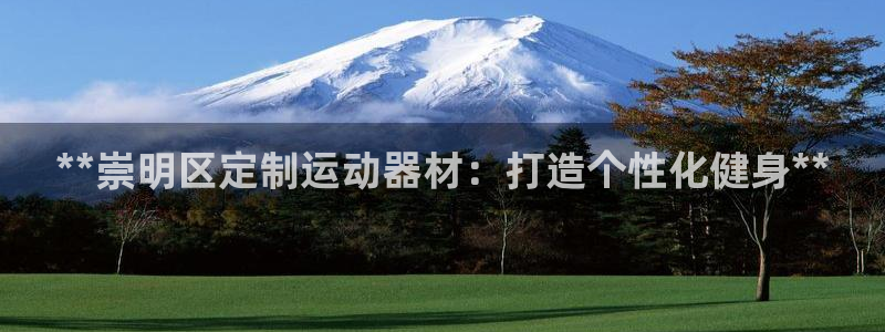 意昂3官网：**崇明区定制运动器材：打造个性化健身*