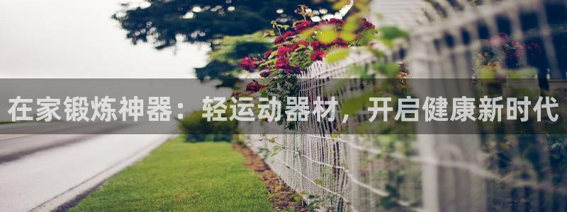 意昂体育3娱乐：在家锻炼神器：轻运动器材，开启健康新