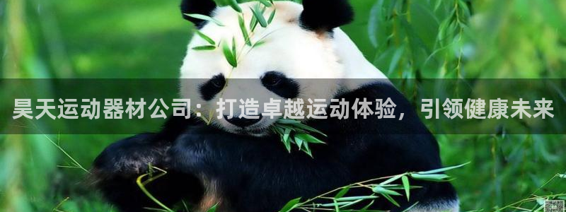 意昂平台体育：昊天运动器材公司：打造卓越运动体验，引