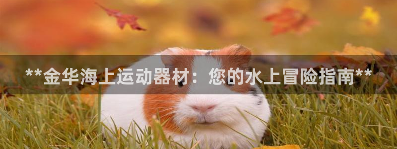 意昂3娱乐40996：**金华海上运动器材：您的水上