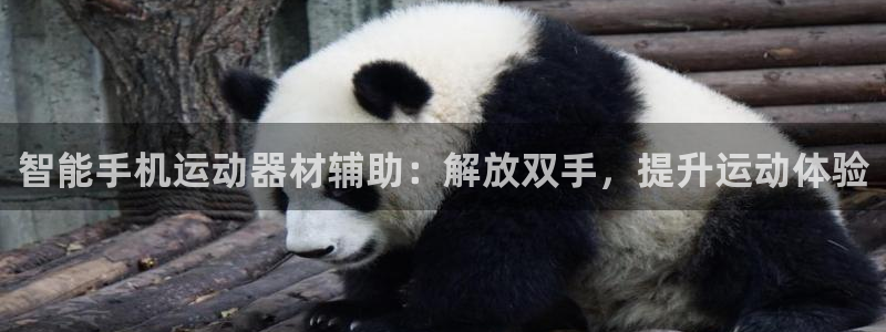 意昂体育3平台APP：智能手机运动器材辅助：解放双手