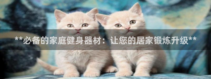 意昂体育3招商电话号码是多少号：**必备的家庭健身器材：让您