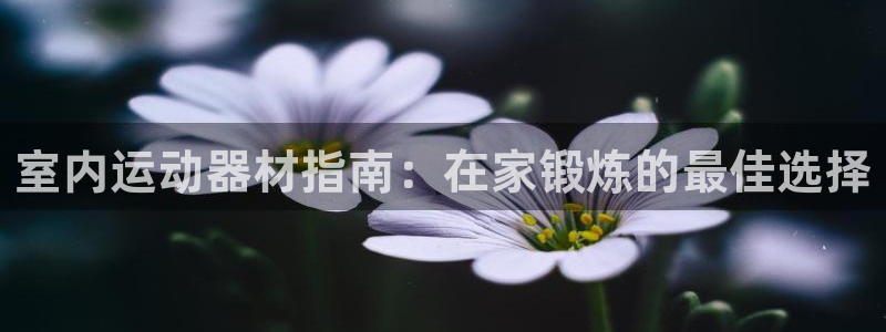 意昂3集团简介：室内运动器材指南：在家锻炼的最佳选择