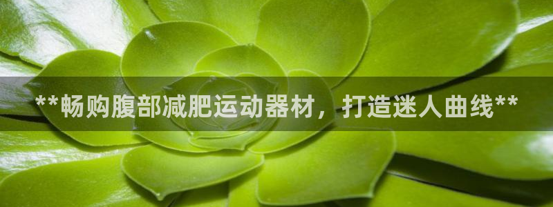 意昂体育3平台注册流程图：**畅购腹部减肥运动器材，打造迷人