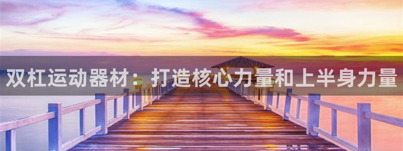 意昂3集团E.ON：双杠运动器材：打造核心力量和上半