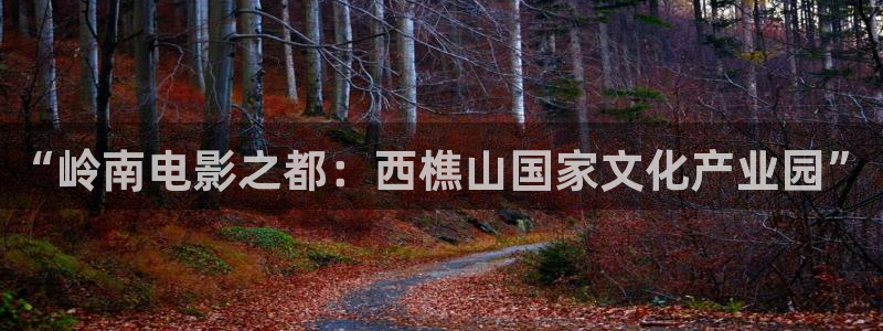 汤姆影院avtom在线播放