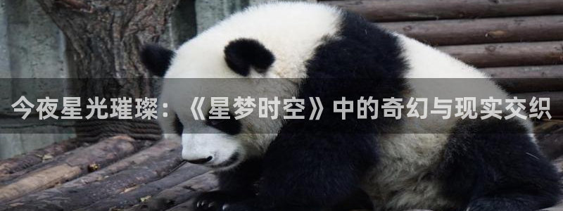 汤姆影院在线播放：今夜星光璀璨：《星梦时空》中的奇幻与现实交织