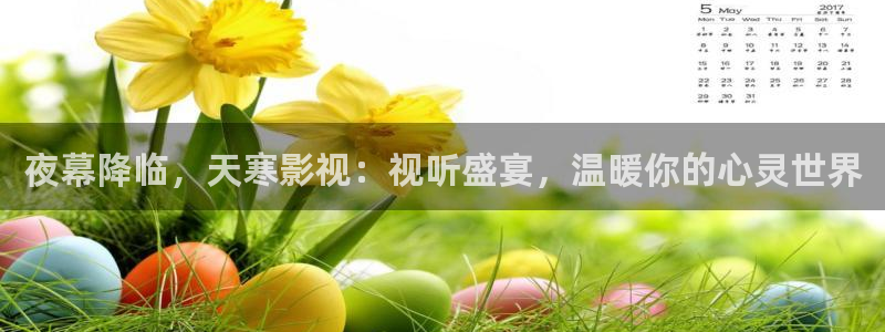 汤姆视频首页：夜幕降临，天寒影视：视听盛宴，温暖你的心灵世界