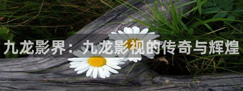 汤姆影院在线视频