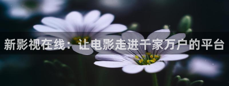 汤姆影院tom最新地域网在线观看